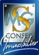 logo agence MSG CONSEIL