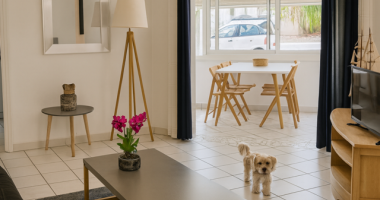 À louer t2 meublÉ de 53m2 avec accÈs plage au gosier