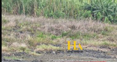 sainte rose, bonne espérance, parcelle viabilisée de 382 m² lot 9