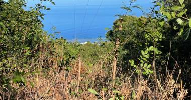 terrain - etang st leu
