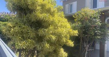 a vendre maison moderne  avec jardin opportunitée rare à saint-leu.