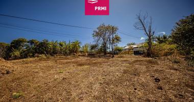 prmi tan rouge saint paul : terrain d'environ 600 m² à 685 m d altitude