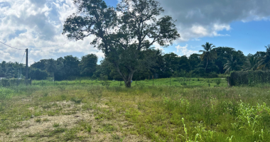 À louer - terrain 1986m2 - perrin - chu guadeloupe - les abymes