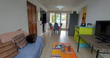 appartement f3 centre ville la riviere st louis